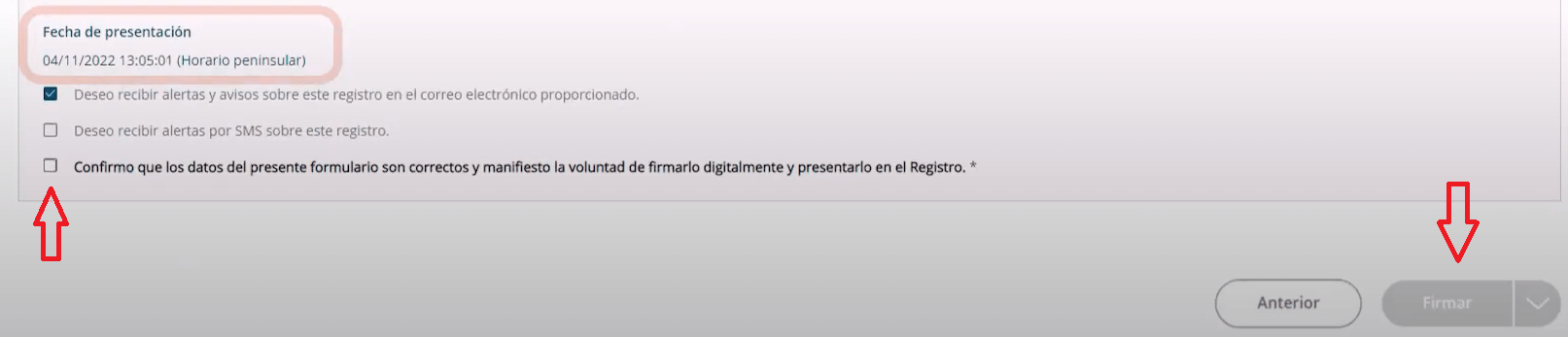 Paso 5.1 tutorial plataforma REG